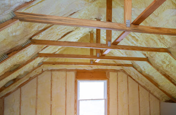 Best Insulation Replacement Services  in Kadelphia, AR