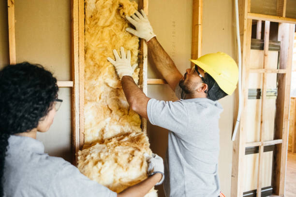 Best Residential Insulation Services  in Kadelphia, AR
