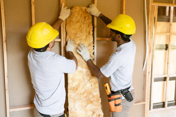 Best Insulation Replacement Services  in Kadelphia, AR