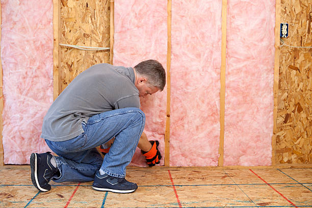 Best Professional Insulation Contractor  in Kadelphia, AR