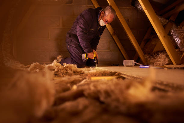 Best Insulation for New Construction  in Kadelphia, AR